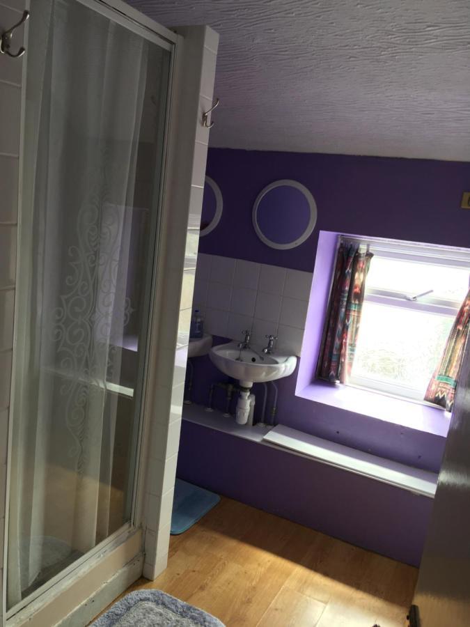 Pantyrathro International Hostel Carmarthen Buitenkant foto